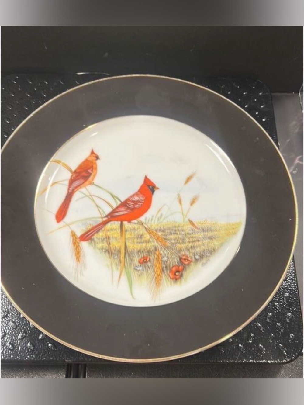 Cardinal Plate - Picture 1 of 3